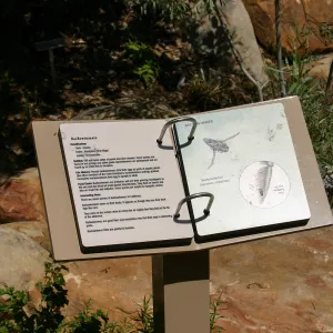 Interpretive display, Discovery Garden