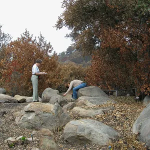 Ingrid Kaper and Betsy Collins checking plant labels after the Jesusita Fire