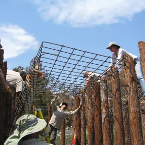 Construction of Herb Parker's â€˜Haven' labyrinth, placing roof structure