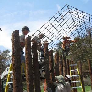 Construction of Herb Parker's â€˜Haven' labyrinth, placing roof structure