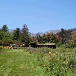 Herb Parker's â€˜Haven' labyrinth