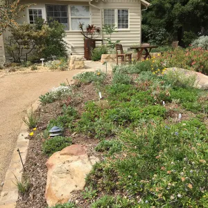 Water Wise Home Garden