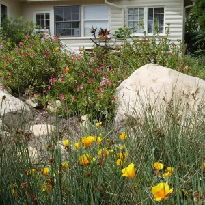 Water Wise Home Garden