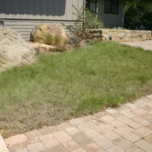 Home Demonstration Garden