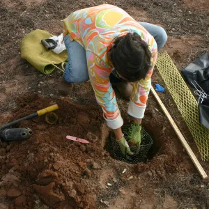 Torrey Pines for Tomorrow Restoration Project Dedication