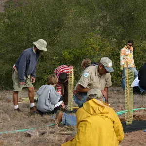 Torrey Pines for Tomorrow Restoration Project Dedication