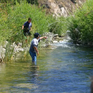FamCamp 2005, Finding stream creatures