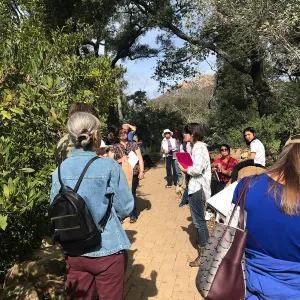 Herbal Medicine Walk: Respiratory System with Emily Sanders