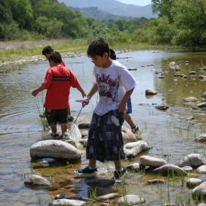 FamCamp 2009, Nature exploration at the river