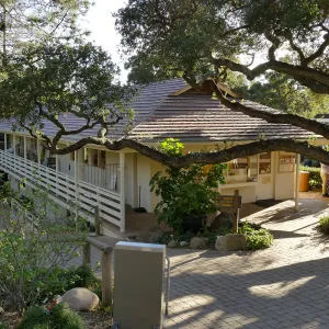 North Wing roof replacement