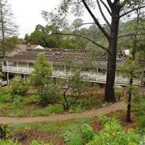 North Wing roof replacement