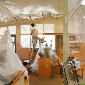 2019 Shop repainting