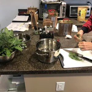 Emily Sanders Winter Wellness Medicine Making Workshop