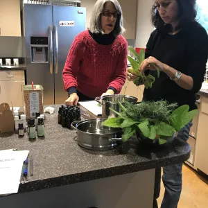 Emily Sanders Winter Wellness Medicine Making Workshop