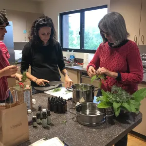 Emily Sanders Winter Wellness Medicine Making Workshop