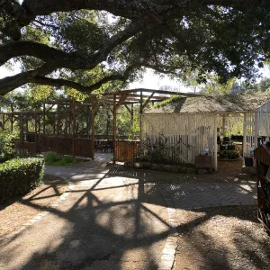 Shadow patterns at the Arbor Terrace