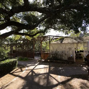 Shadow patterns at the Arbor Terrace
