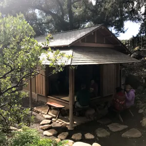 Tea Ceremony at ShinKanAn Teahouse