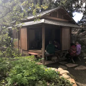 Tea Ceremony at ShinKanAn Teahouse