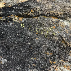 Sandstone texture