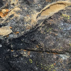 Sandstone texture