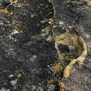 Sandstone texture