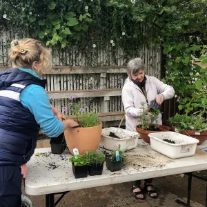 Create Your Own Container Garden taught by Patrick Wiley
