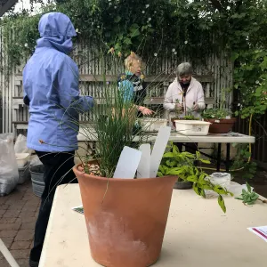 Create Your Own Container Garden taught by Patrick Wiley