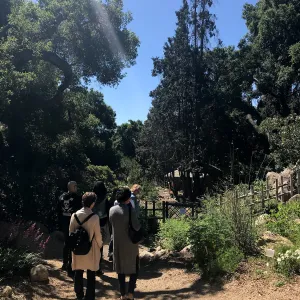 Enjoy Matcha: The Urasenke Way of Tea class taught by Sensei Kyoko Kasai