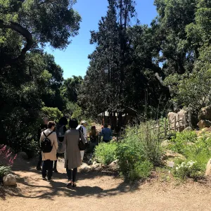 Enjoy Matcha: The Urasenke Way of Tea class taught by Sensei Kyoko Kasai