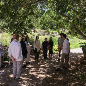 Enjoy Matcha: The Urasenke Way of Tea class taught by Sensei Kyoko Kasai