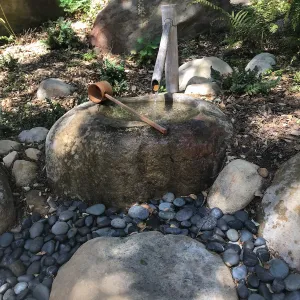 Enjoy Matcha: The Urasenke Way of Tea class taught by Sensei Kyoko Kasai