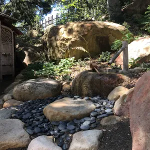 Enjoy Matcha: The Urasenke Way of Tea class taught by Sensei Kyoko Kasai