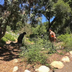 Enjoy Matcha: The Urasenke Way of Tea class taught by Sensei Kyoko Kasai