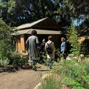 Enjoy Matcha: The Urasenke Way of Tea class taught by Sensei Kyoko Kasai