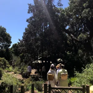 Enjoy Matcha: The Urasenke Way of Tea class taught by Sensei Kyoko Kasai