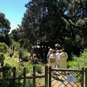 Enjoy Matcha: The Urasenke Way of Tea class taught by Sensei Kyoko Kasai