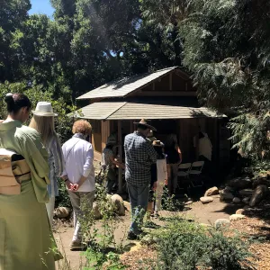 Enjoy Matcha: The Urasenke Way of Tea class taught by Sensei Kyoko Kasai