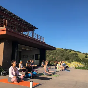 Yoga in the Garden class taught by Michelle Rousseau