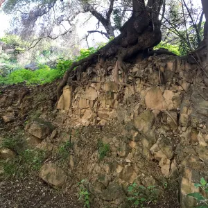 Romero Canyon day trip with Natalie Love
