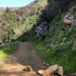 Romero Canyon day trip with Natalie Love