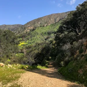 Romero Canyon day trip with Natalie Love