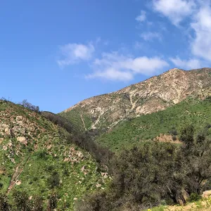 Romero Canyon day trip with Natalie Love