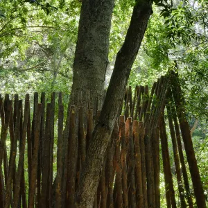 The Understory casita