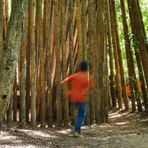 Children from the Santa Barbara Unified School District Expanded Learning Center at the Understory casita