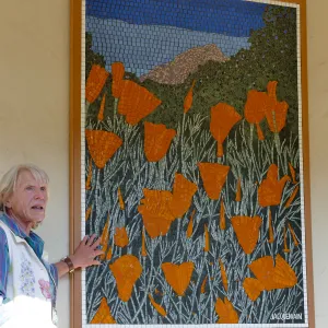 Dedication ceremony for â€œAfter the Rainsâ€ mosaic by Patti Jacquemain