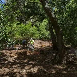 â€œHalfling Houseâ€ casita under construction