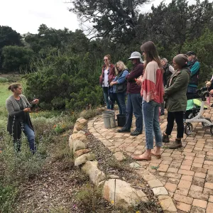 Bring the Wild Inside; Floral Design With California Native Plants