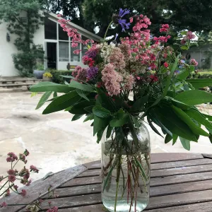 Arrangement from Bring the Wild Inside; Floral Design With California Native Plants