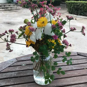 Arrangement from Bring the Wild Inside; Floral Design With California Native Plants